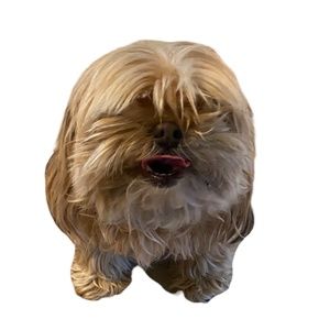 Meet your Posher, Josie